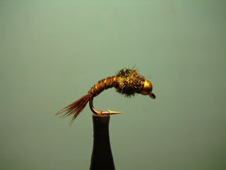 Doctor Pheasant Tail (12-16)